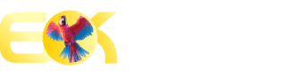 Bet365 link - Zepbet
